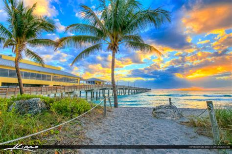 city of dania beach|Iba pa.